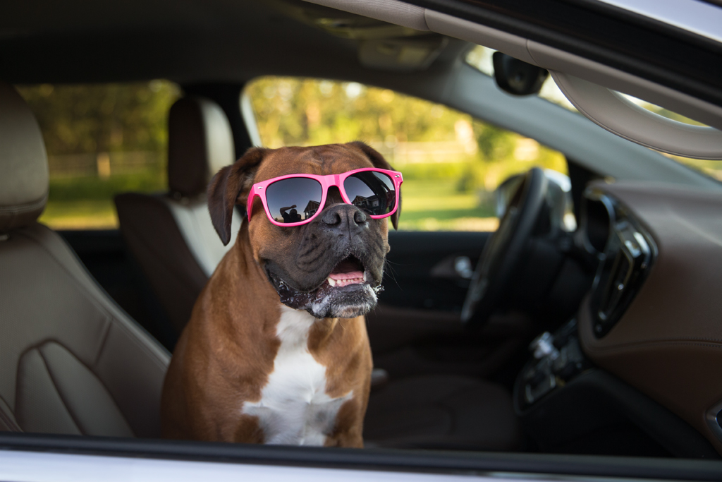 Hot Sun and Fun with Sunglasses