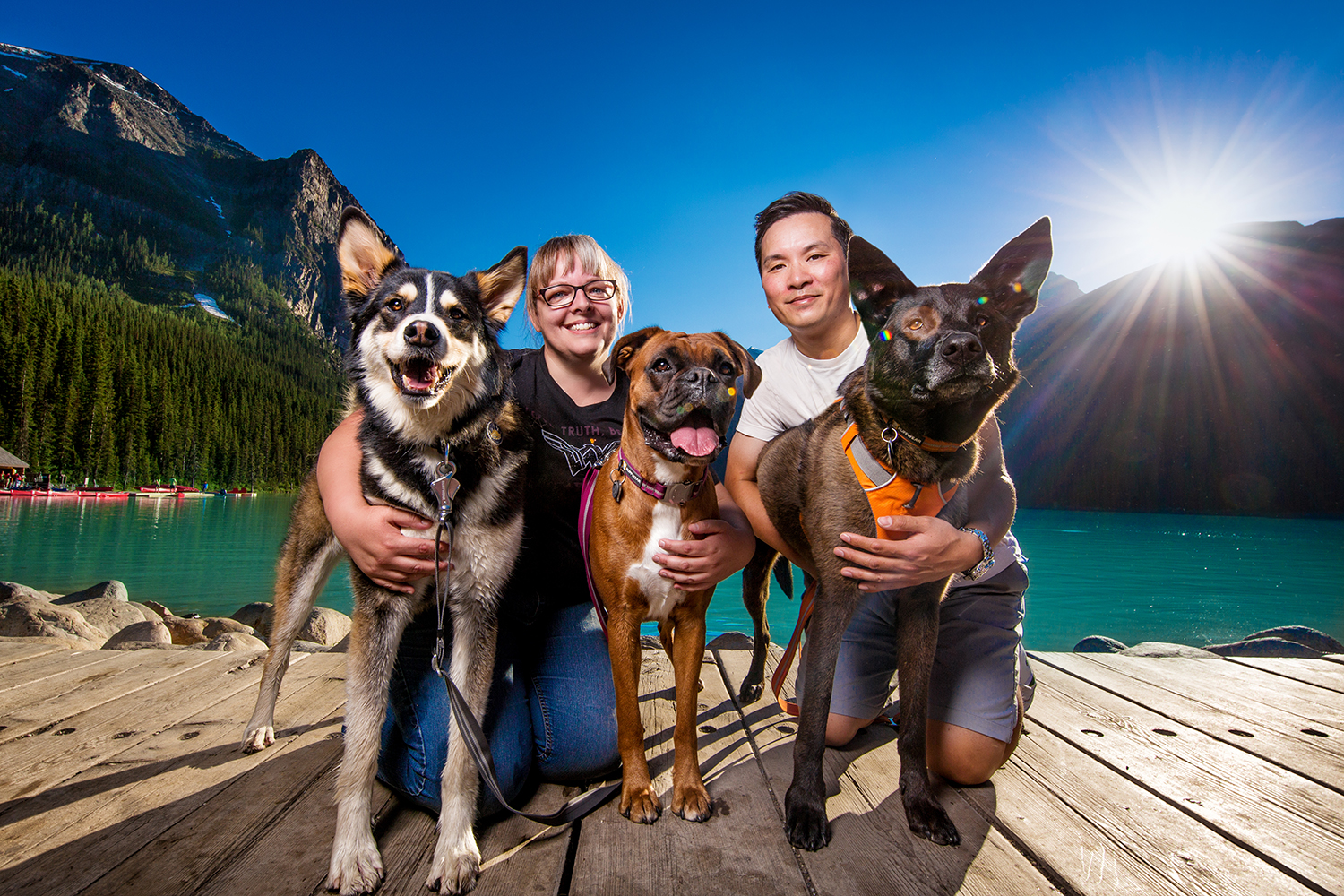 Kingsley, Holly, Pebbles, Ron and Grizz - Photograph ©Dog Breath Photography