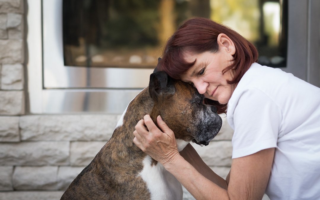 24 Hour Emergency Vet Clinics in Calgary and Okotoks