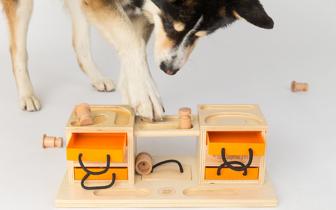 My Intelligent Pets Interactive Puzzle Games [REVIEW]