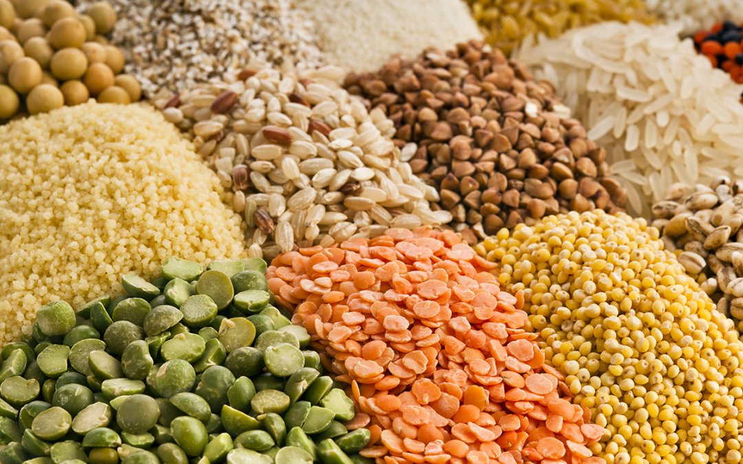 Are Grain-Free Foods Bad for Dogs?