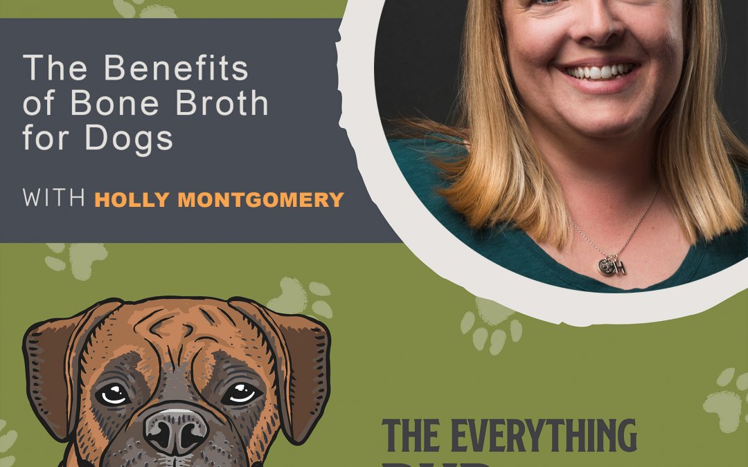 The Benefits of Bone Broth for Dogs [Podcast Episode 006]