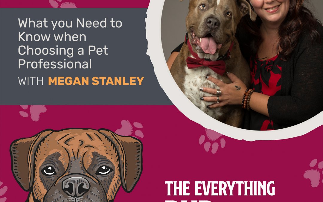 What You Need to Know When Choosing a Pet Professional With Megan Stanley [Podcast Episode 005]