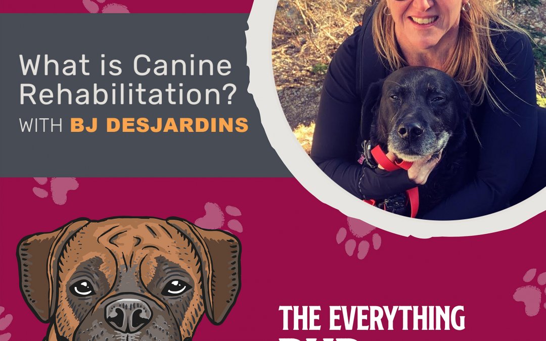 What Is Canine Rehabilitation? With BJ Desjardins [Podcast Episode 009]