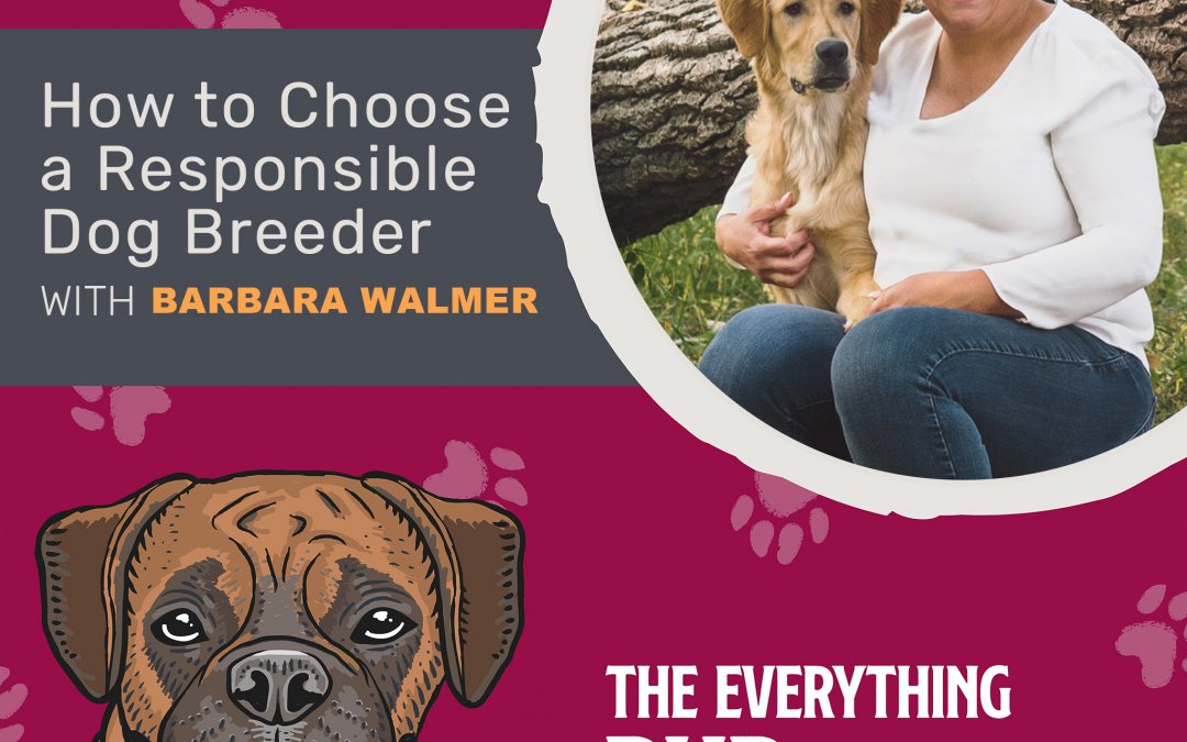 How to Choose a Responsible Dog Breeder With Barbara Walmer [Podcast Episode 011]