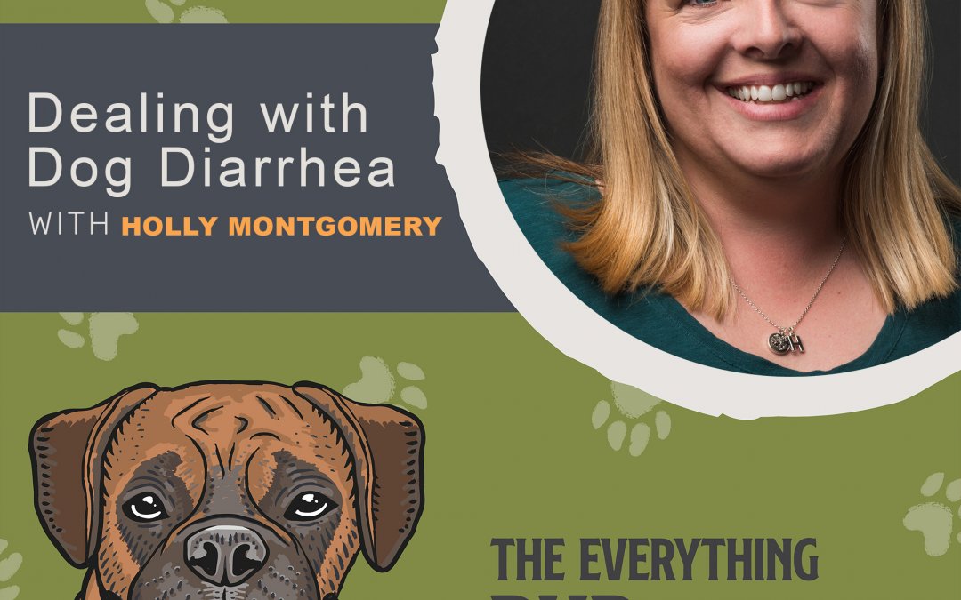 Dealing With Dog Diarrhea [Podcast Episode 010]