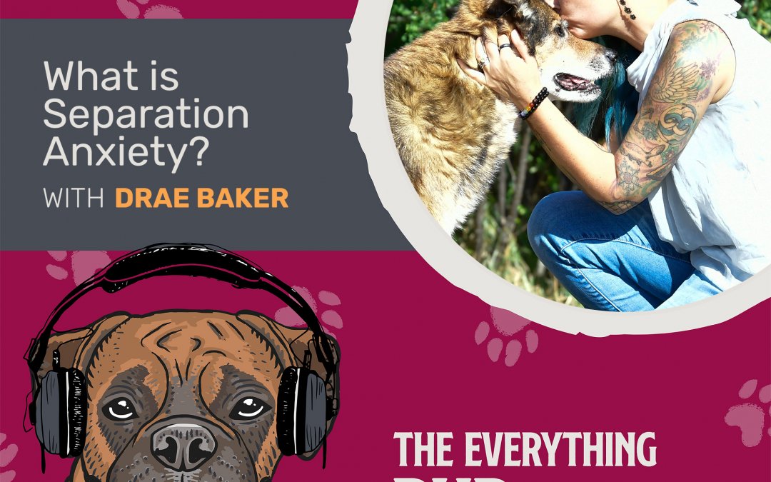 What is Separation Anxiety? With Drae Baker [Podcast Episode 015]