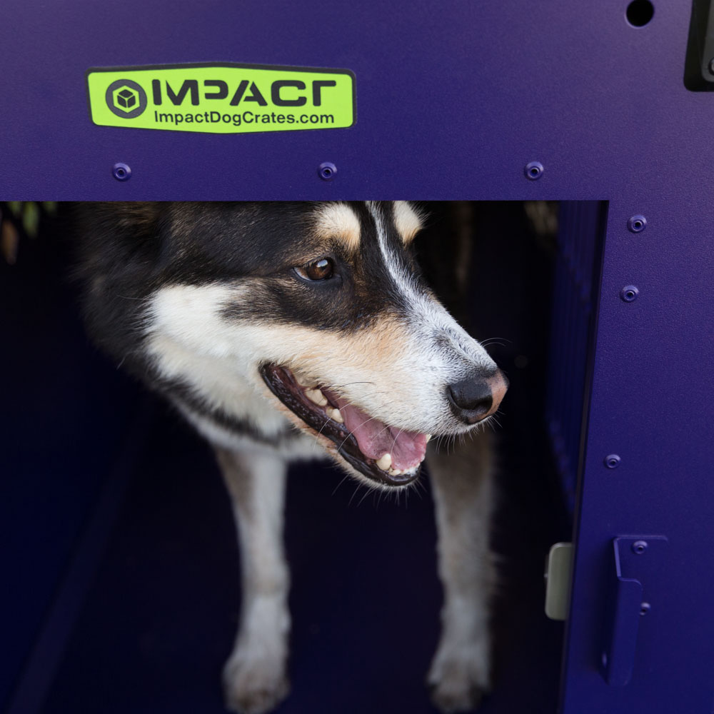 IMPACT DOG CRATES
