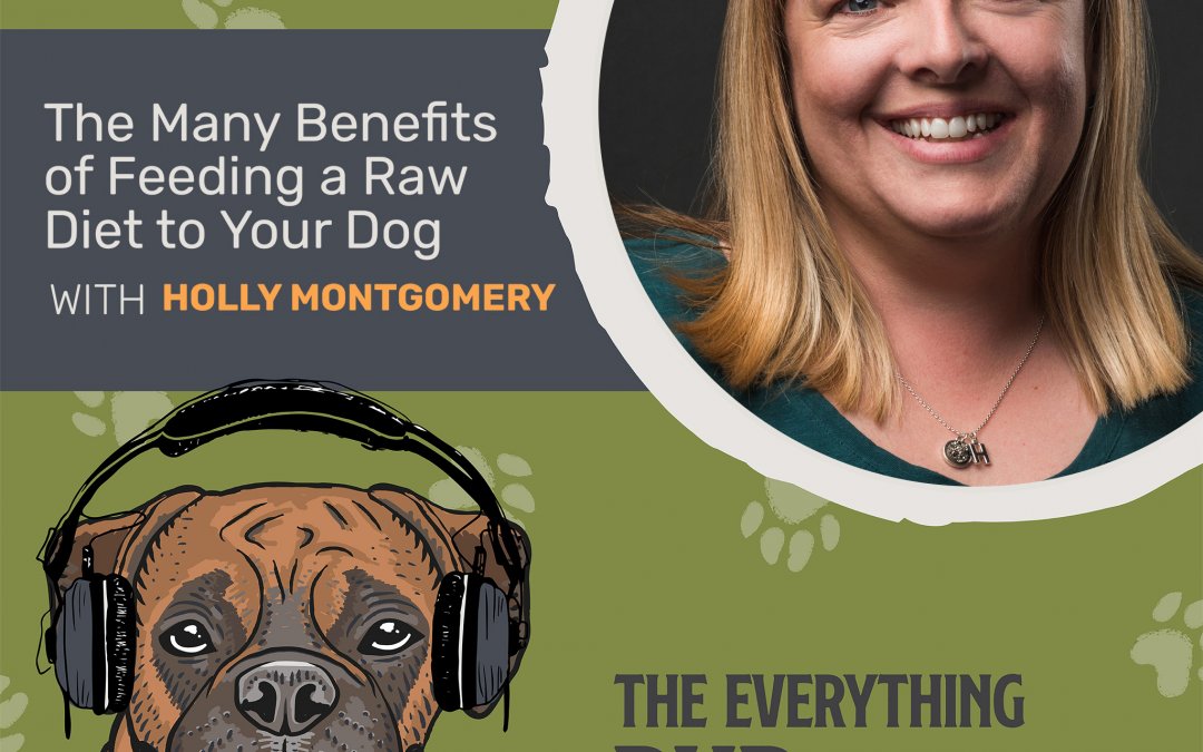 The Many Benefits of Feeding a Raw Diet to Your Dog [Podcast Episode 016]