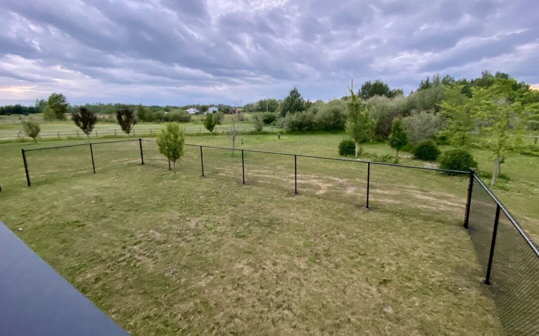 Sensory Garden – Part Two – The Fence