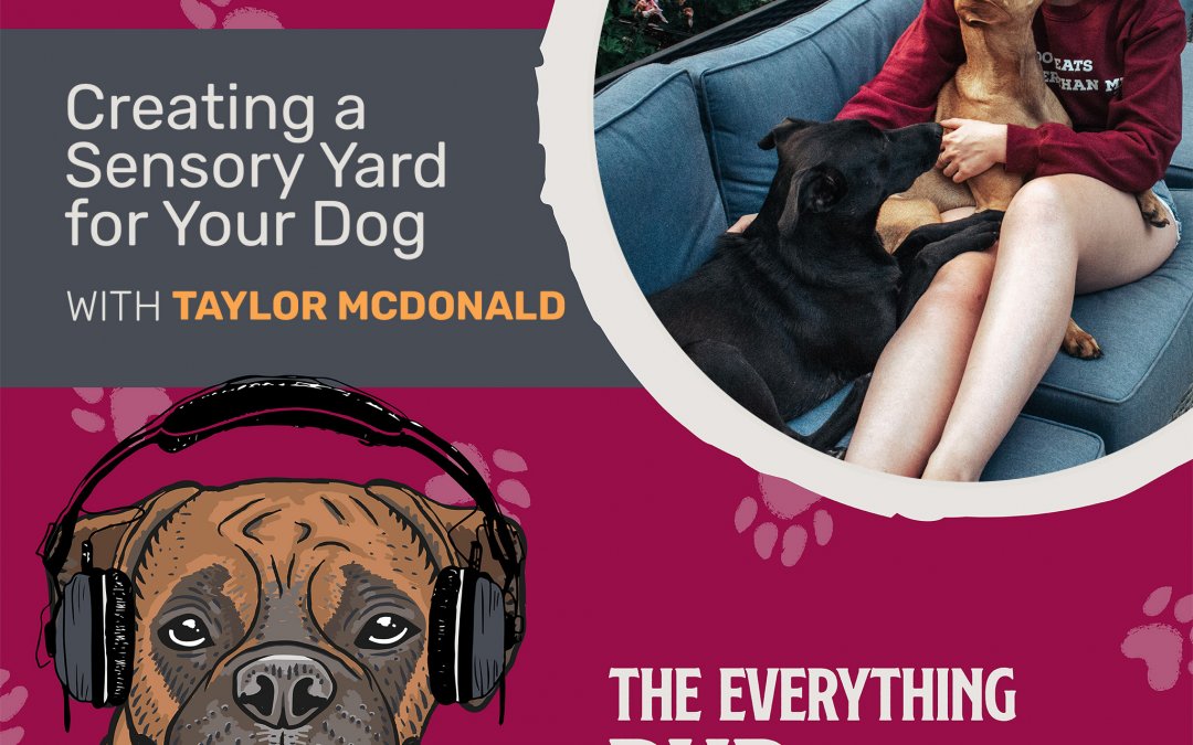Creating a Sensory Yard for Your Dog With Taylor McDonald [Podcast Episode 017]