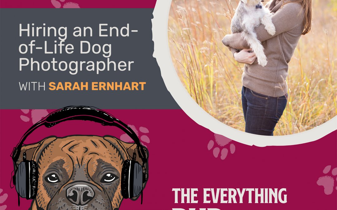 Hiring an End-of-Life Dog Photographer With Sarah Ernhart [Podcast Episode 019]