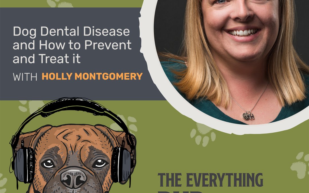 Dog Dental Disease and How to Prevent and Treat it [Podcast Episode 024]