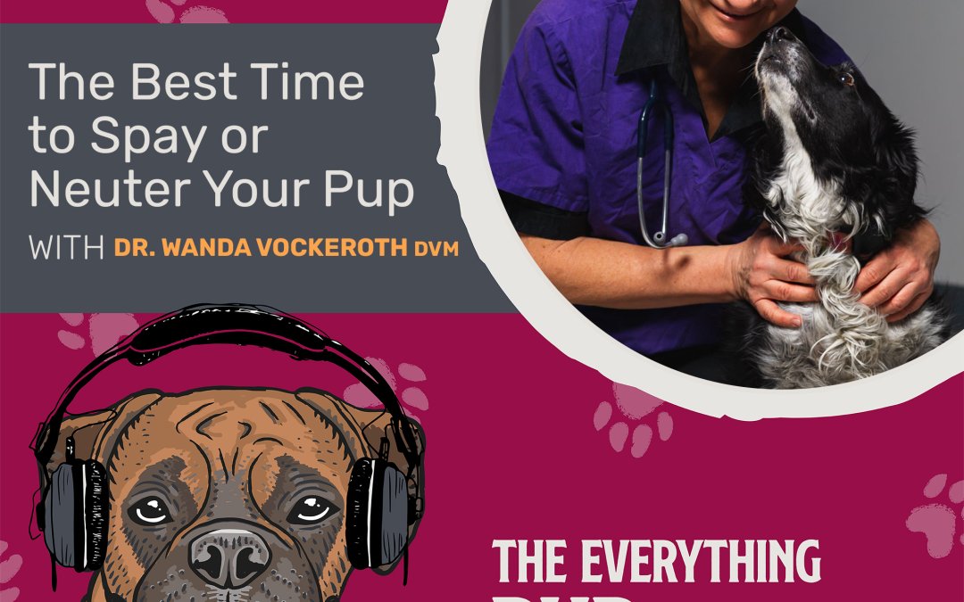 The Best Time to Spay or Neuter Your Pup With Dr. Wanda Vockeroth DVM [Podcast Episode 027]