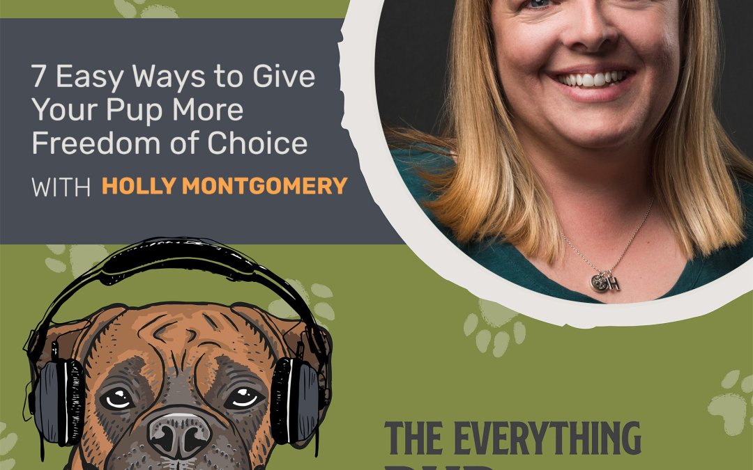 7 Easy Ways to Give Your Pup More Freedom of Choice [Podcast Episode 026]
