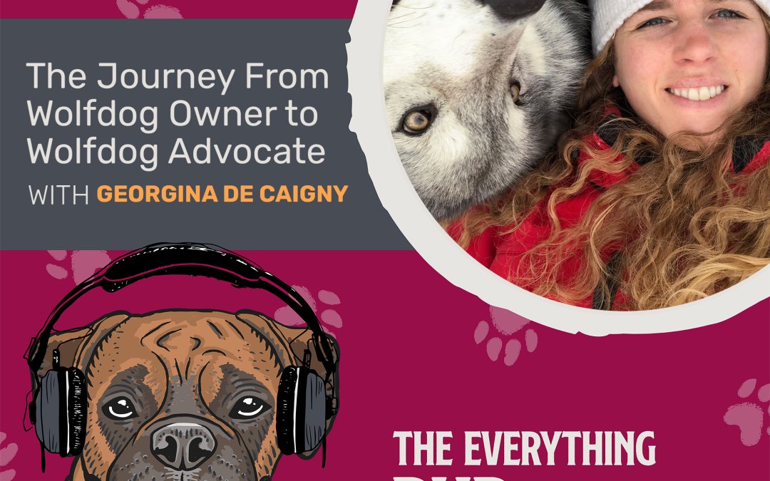 The Journey From Wolfdog Owner to Wolfdog Advocate With Georgina De Caigny [Podcast Episode 029]