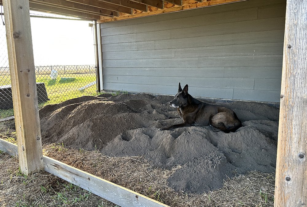 Sensory Garden – Part Three – The Dig Pit