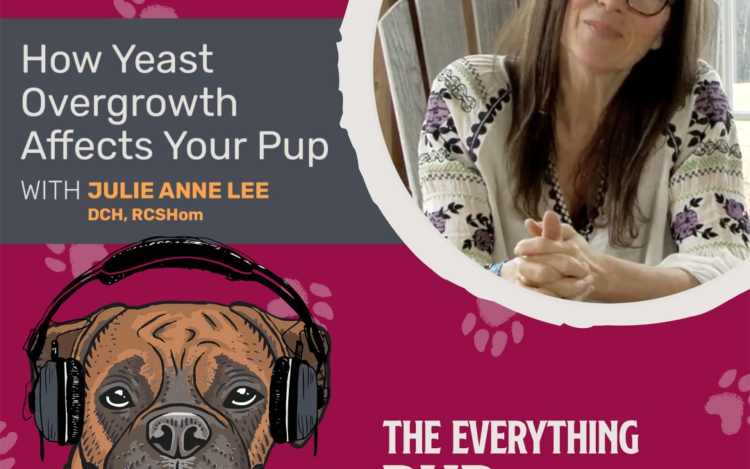 How Yeast Overgrowth Affects Your Pup With Julie Anne Lee [Podcast Episode 030]